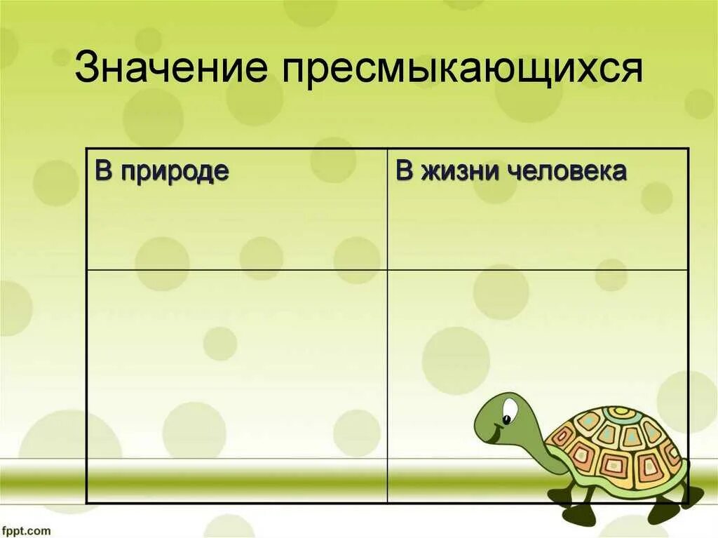 Приспособленность рептилий к жизни на суше. Класс пресмыкающиеся значение. Значение пресмыкающихся в природе. Значение пресмыкающихс. Значение рептилий в природе.