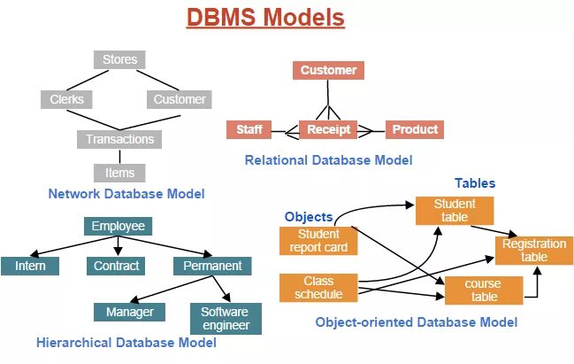 Named model data. DBMS модель. Database Management System. Базы данных DBMS. Relational database Management System.