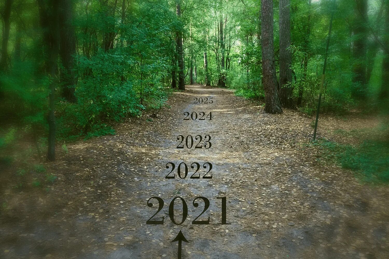 Апрель 2024 картинка. 2024-2025 Картинка. 2024 Лес. 2024 Изображение. 2024 Год картинка.