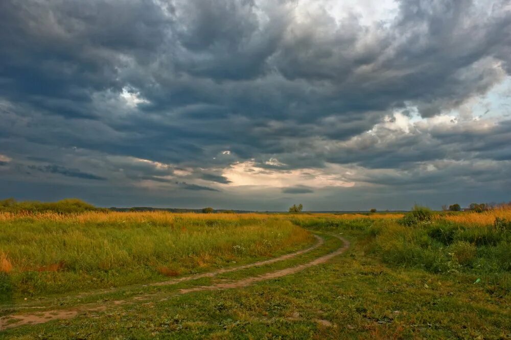 Природа центрально черноземного