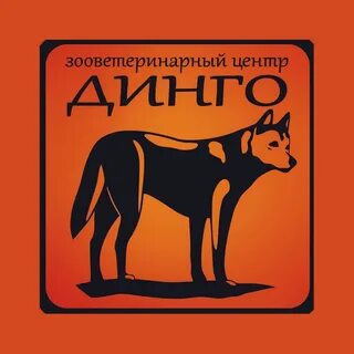 Динго зеленоград