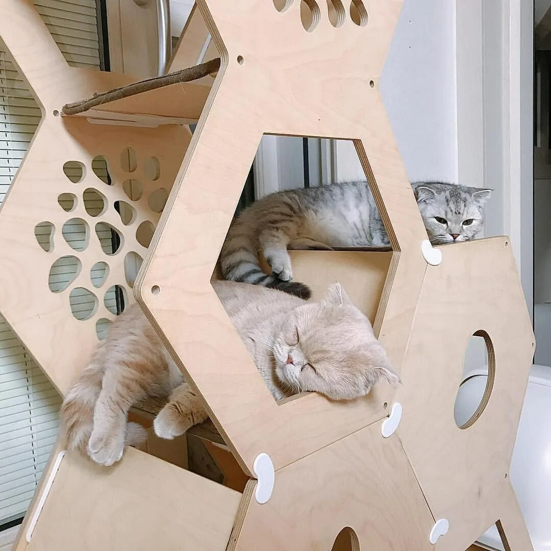 Домик для кошек Triol "Кошкин дом". Фанерный домик для кошки. Домик для кошки из фанеры. Кошачий домик из фанеры. Развлечения для кошек