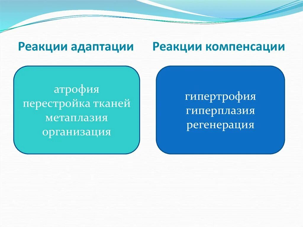 Стресс реакция адаптации. Адаптационные реакции. Неспецифические адаптационные реакции. Неспецифическая и специфическая реакции адаптации. Реакция компенсации.