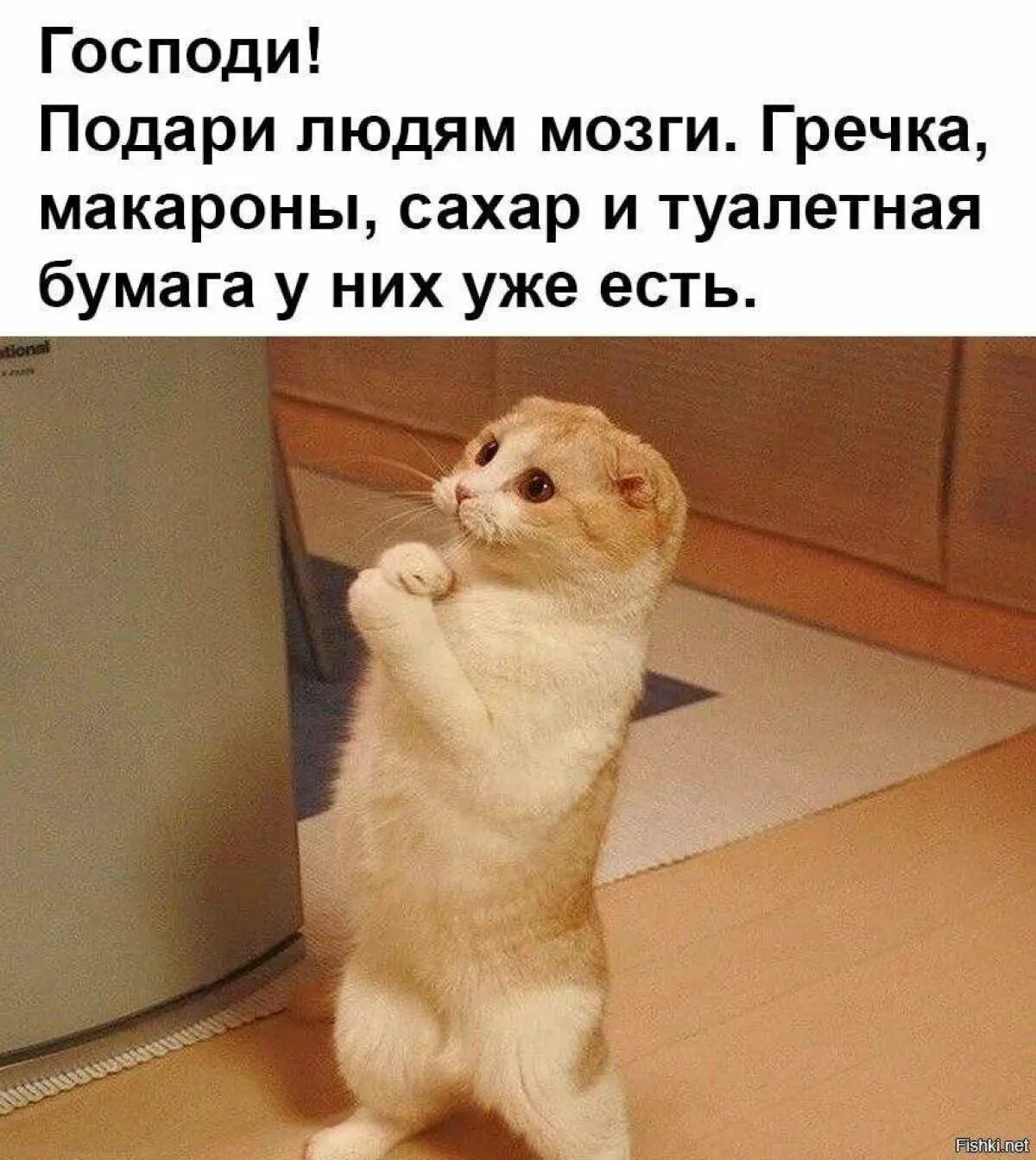 Выделение запятыми пожалуйста