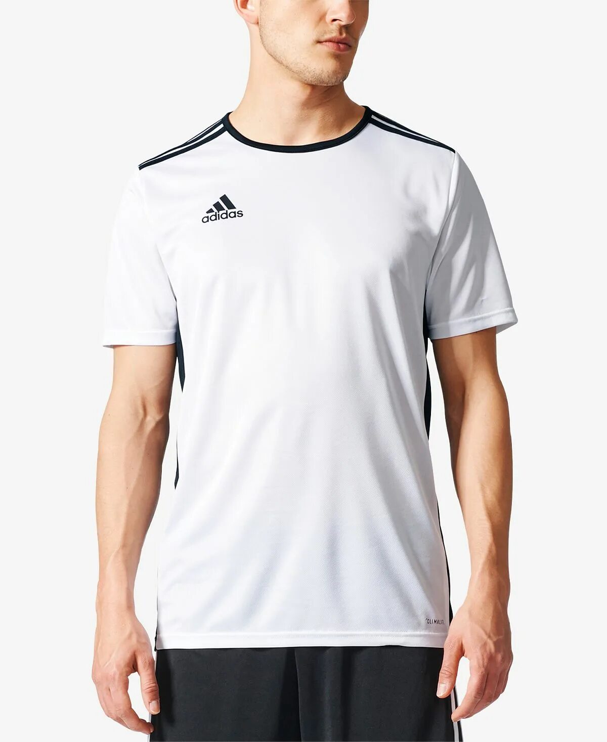 Rn 88387 ca 40312 adidas футболка. Майка adidas climalite. Adidas climalite футболка мужская. Adidas climalite футболка мужская. Adidas climalite футболка мужская.