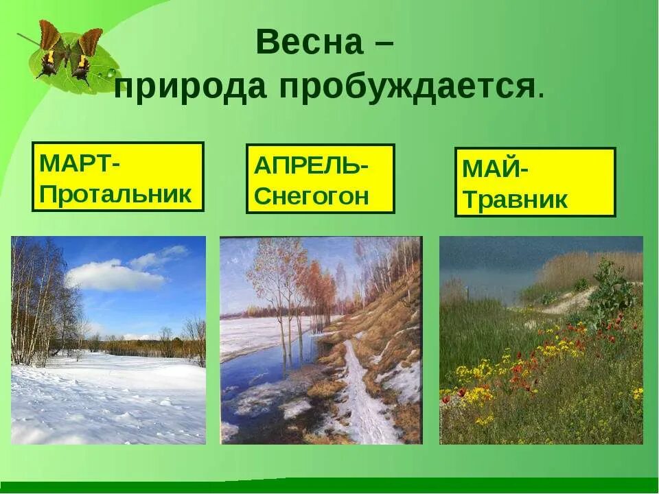 Природа осенью для дошкольников. Сезонные изменения в природе. Сезонные явления в жизни растений. Явления весны для детей. Сезонные изменения в природе.