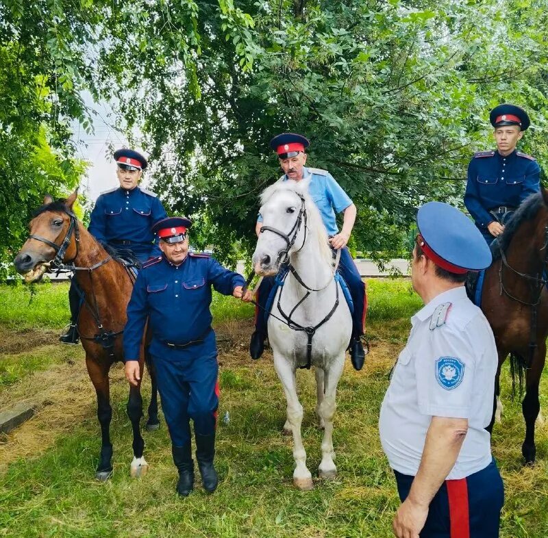верховые донцы. казачья дружина. донское казачье войско. конный взвод. казаки дружинники ростовская область.