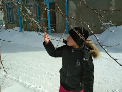 Наблюдение за инеем