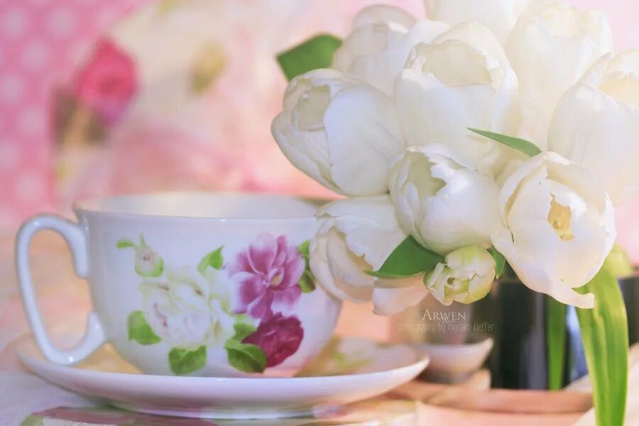 Картинки с добрым утром с цветами весной. Нежные весенние цветы. Утренние цветы. Нежные цветы в чашке. Весенние цветы в чашке.