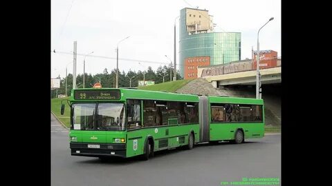29 автобус минск