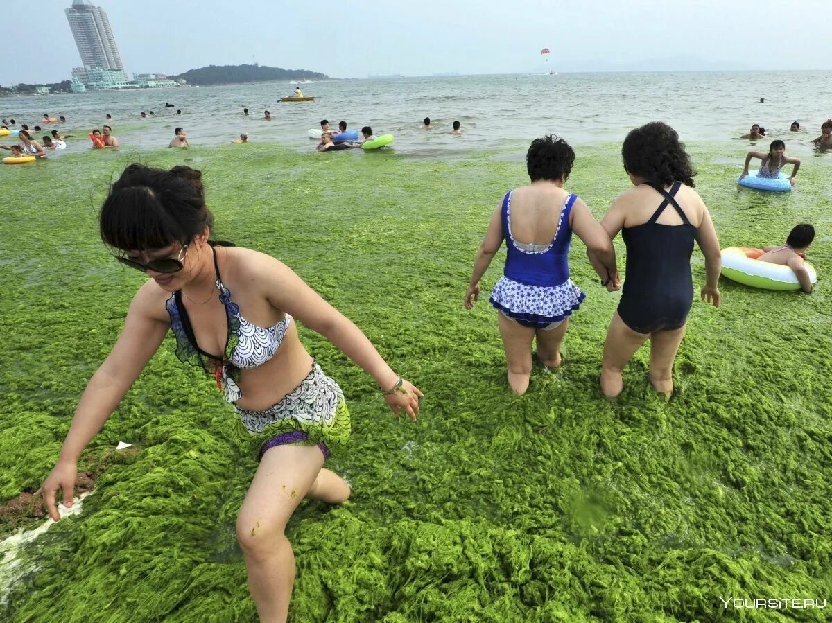 Желтое море китай. Пляж в китае. Желтое море можно купаться. Китайцы купаются. Бэйдайхэ китай.