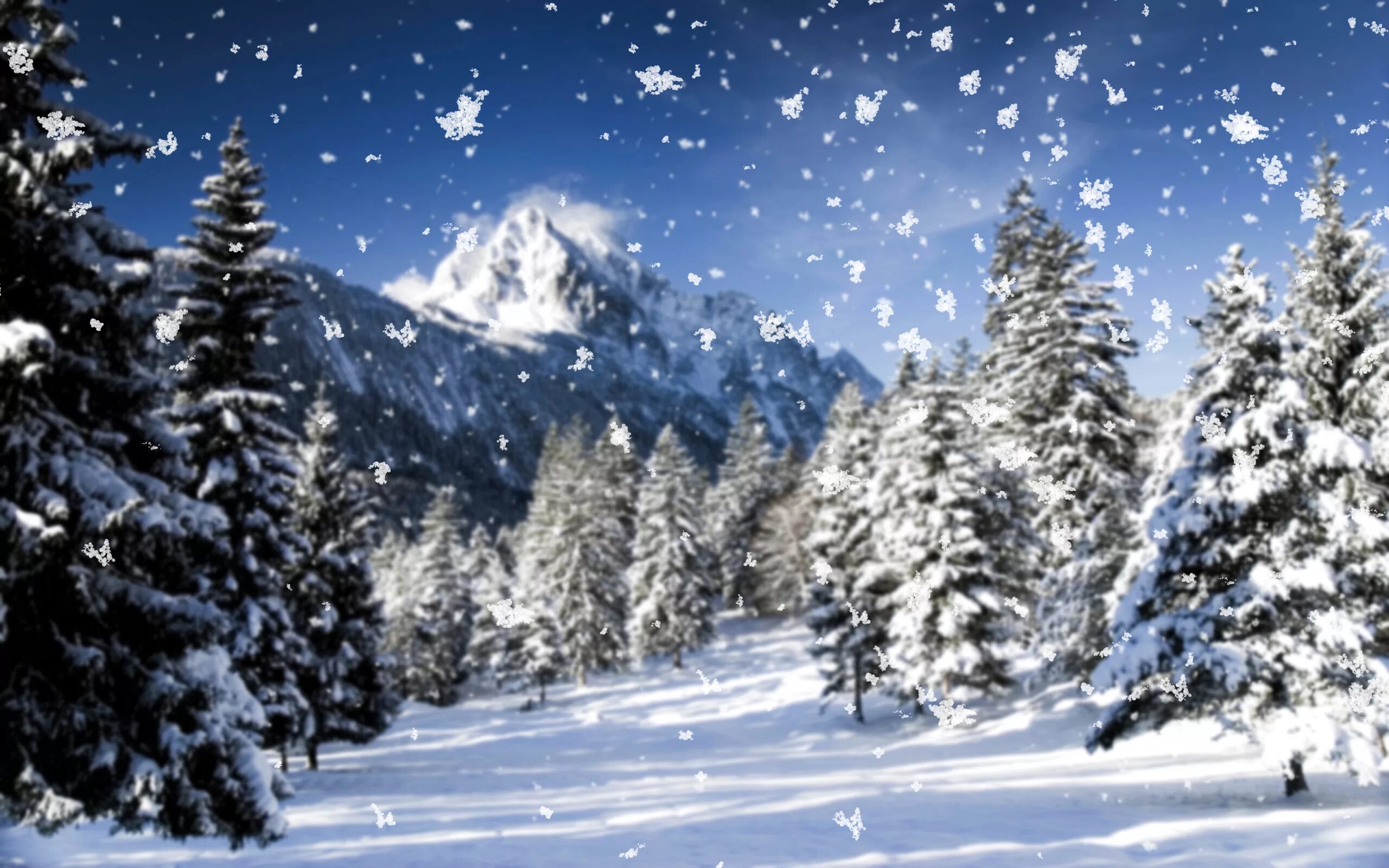Snowy time