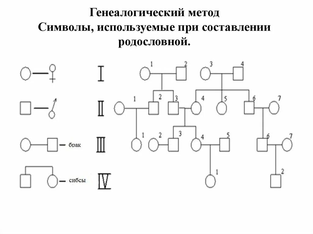 Генеалогический метод изучения наследственности человека. Генеалогический метод генетики. Генеалогический метод составления родословной. Генеалогический метод изучения биологии. Родословная генетика пробанд.