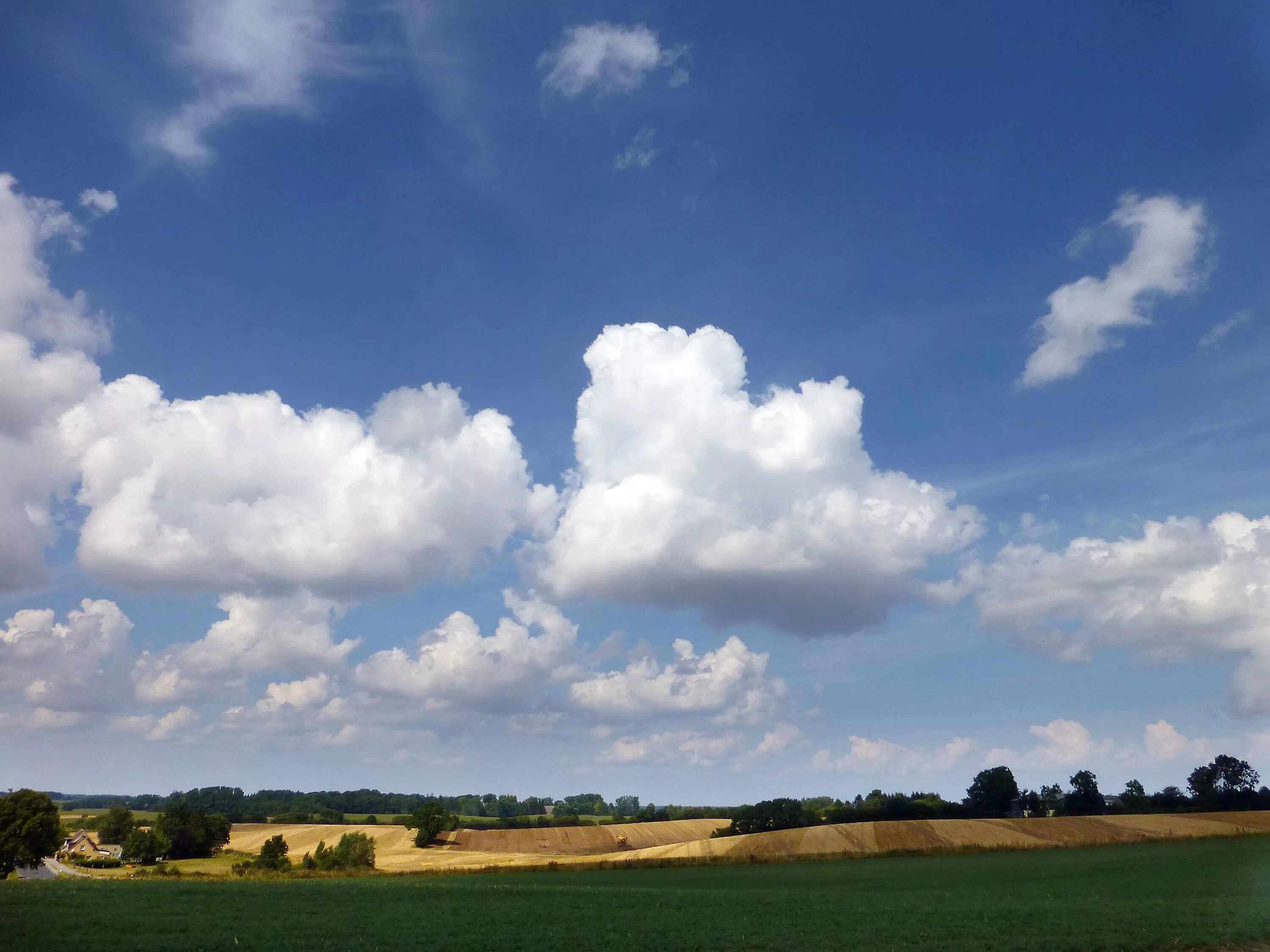 Плотная пелена. Облака. Лето облака. Летнее небо с облаками. Летние Кучевые облака над полем.