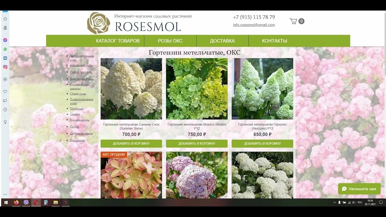 Каталог роз несиных. Питомник rosesmol. питомник элитных роз.