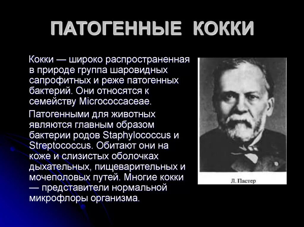 Условно патогенные кокки. Патогенные кокки таблица. Патогенные мо. Патогенные кокки. Возбудители гнойно септических заболеваний.