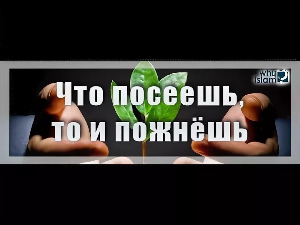 Что посеял то и получай