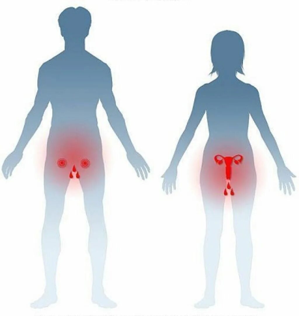 жжение в области половых организмов. дискомфорт при мочеиспускании. инфекции передающиеся половым путем выделения. передается ли кандидоз половым путем. выделения из половых путей.