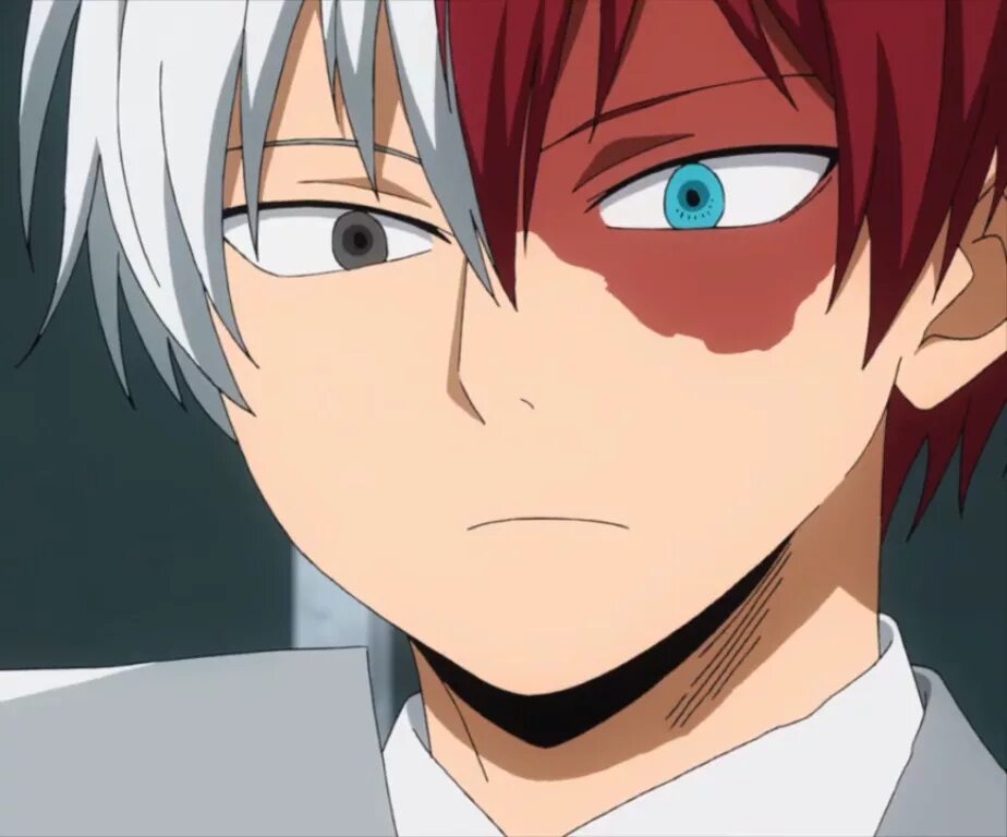 Todoroki reader