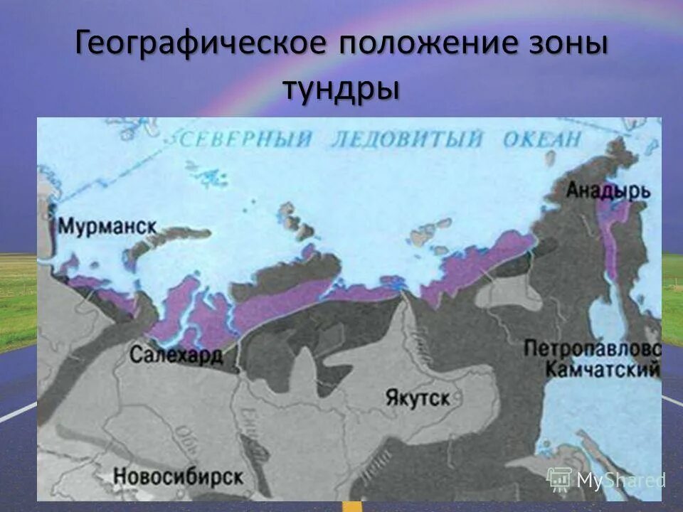 В каком направлении простирается тундра. Географическое положение тундры. Географичесоеположение тудры. Геогрфиескоеположение тундры. Географическое расположение зоны тундры.