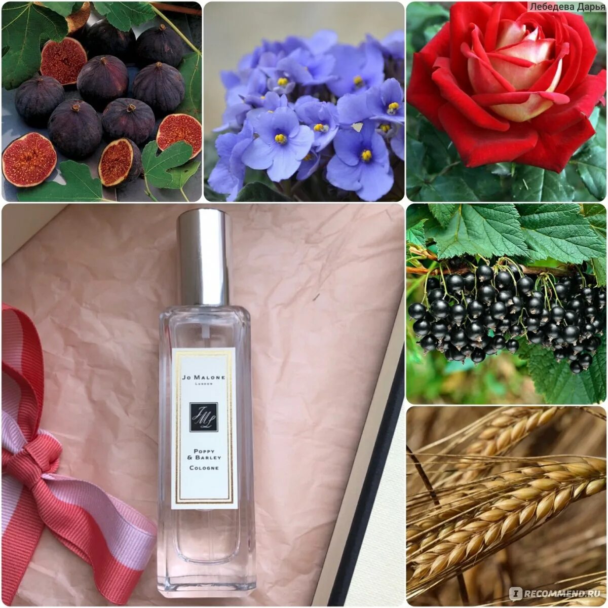 Jo malone poppy barley. Джо Малон духи Мак. Джо Малон Ирис и Сандал. Jo Malone Мак и ячмень. Джо Малон Poppy.