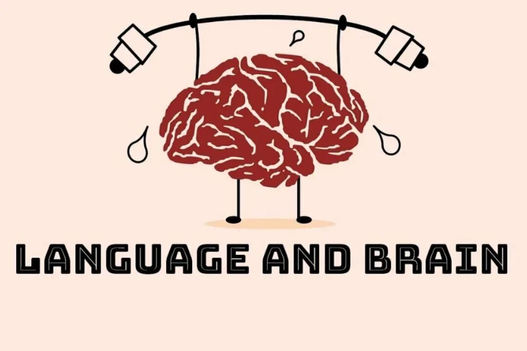 Brain languages. Мозг и иностранные языки. Изучение языков и мозг. Язык и мозг. Изучение иностранного языка мозг.