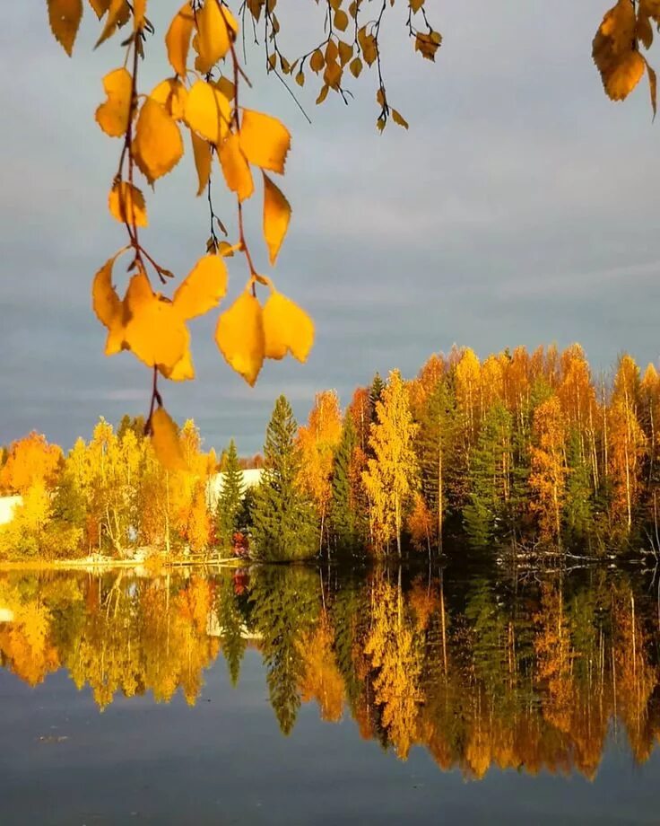 Осеннее утречко Herbst bilder, Herbstbilder, Herbst