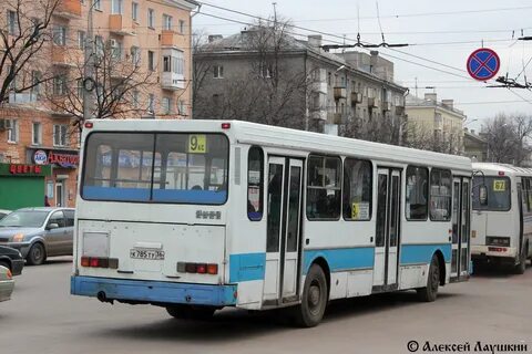 36 автобус спб