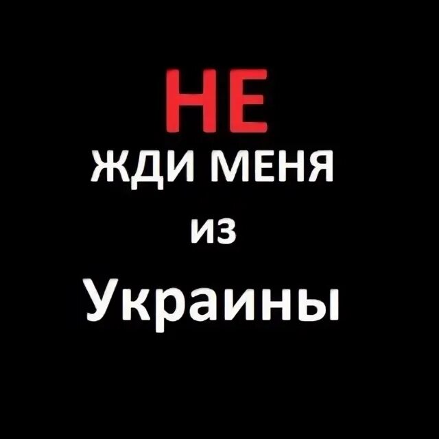 Программа жди меня. Жди меня. Жди меня передача. Жди меня. Передача жди меня фото.