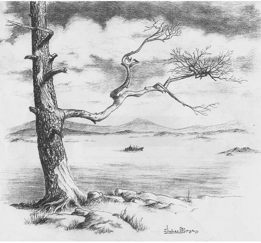 Мицник александр петрович графика тушью. Виктор аронович дувидов (1932-2000). Рисунок выполненный карандашом одного цвета. Зимний пейзаж в стиле графика. Деревья тушью.