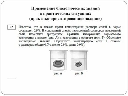 Экспериментатор поместил раствор