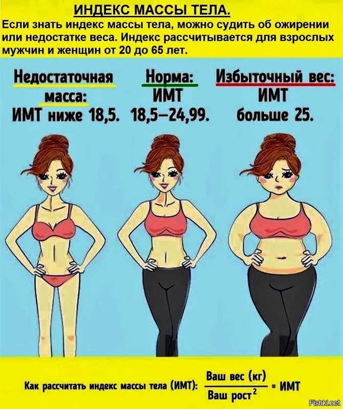 Весы с индексом массы тела. ИМТ норма. Нормальные показатели ИМТ. ИМТ для женщин. Нормальный вес ИМТ.