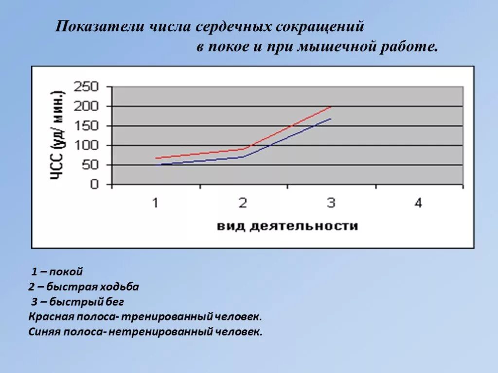 У нетренированных людей после физической работы. Показатели числа сердечных сокращений в покое и при мышечной работе.. чсс при мышечной работе. частота сердечных сокращений в покое и при мышечной деятельности. показатели работы сердца в покое и при мышечной деятельности.