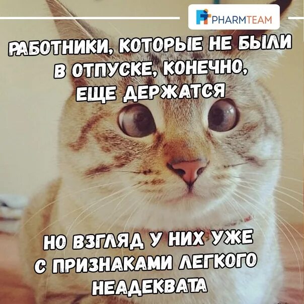 Глазоньки. Как пишется слово глазоньки. Глазенки или глазоньки. Глазоньки или глазеньки как правильно написать. Звук на будильник открой глазки открой глазоньки