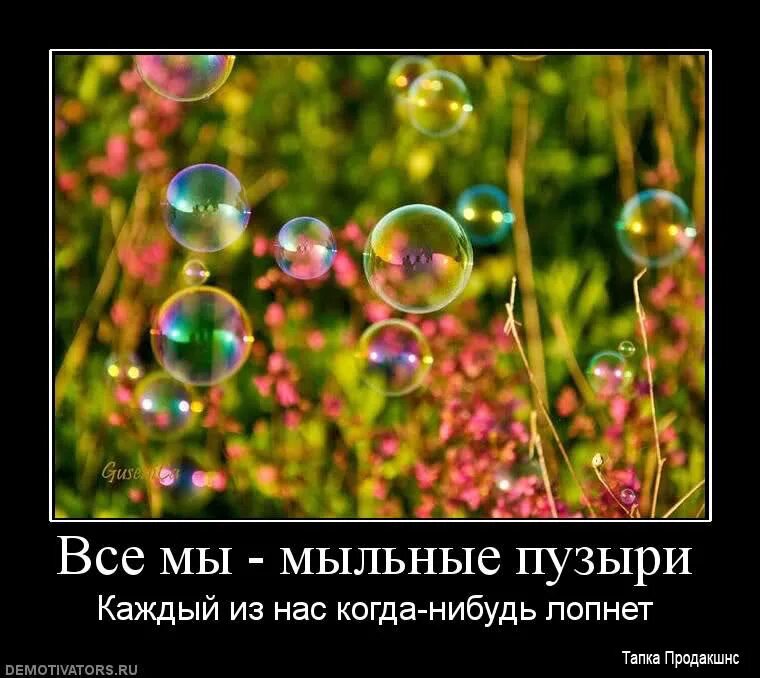 Цитаты яркость