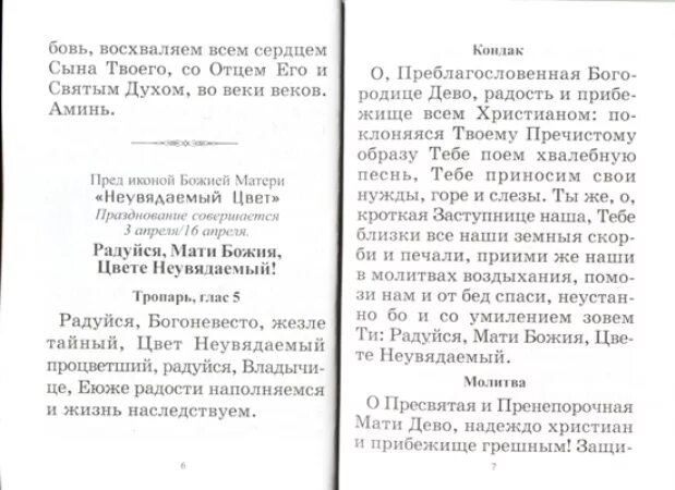 Любовь книга божия читать. Молитва Пресвятой Богородице иконе ,,Неувядаемый цвет,,. Молитва перед иконой Божией матери Неувядаемый цвет. Неувядаемый цвет икона Божией матери молитва. Молитва Неупиваемый цвет.