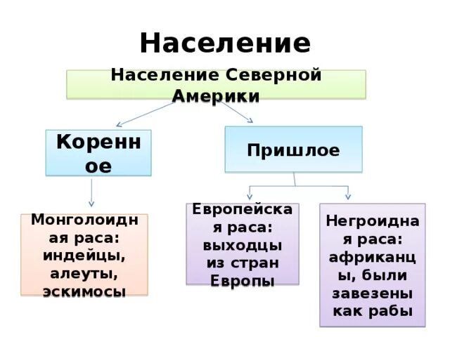 Численность населения северной америки 7 класс география. Население Северной Америки схема 7 класс. Схема населения Северной Америки 7 класс география. Пришлое население Северной Америки. Расы Северной Америки.