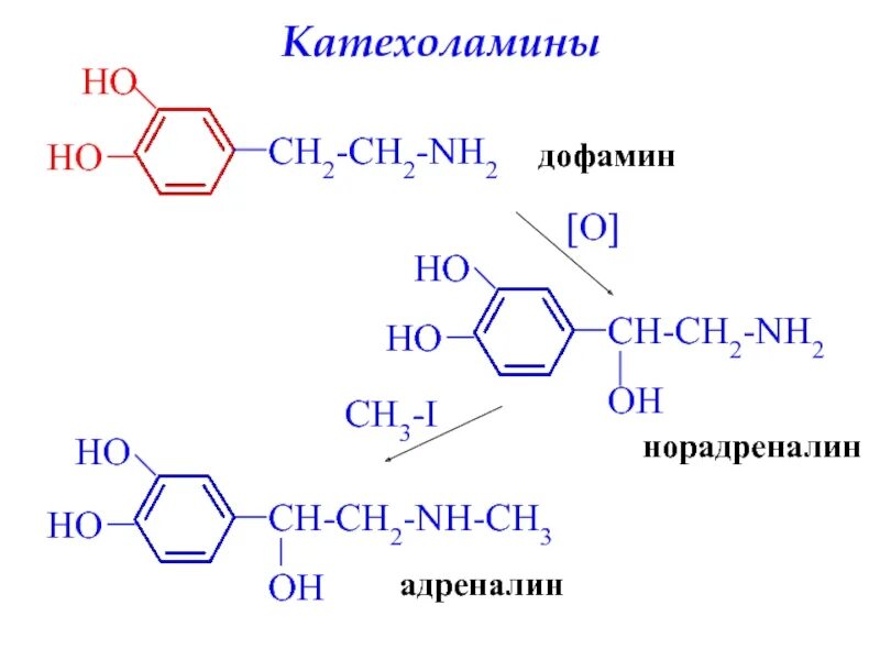 Биологически важные аминоспирты. Дофамин норадреналин адреналин. Моноамины нейромедиаторы. Дофамин гидроксилаза кофактор. Дофамин гормон структура.