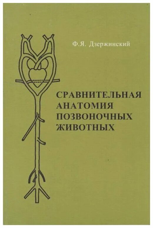 сравнительная анатомия позвоночных животных. строение скелета льва. органы чувств у позвоночных и беспозвоночных животных. эволюция скелета позвоночных. сравнительная анатомия позвоночных животных.