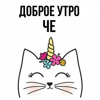 Маша котик