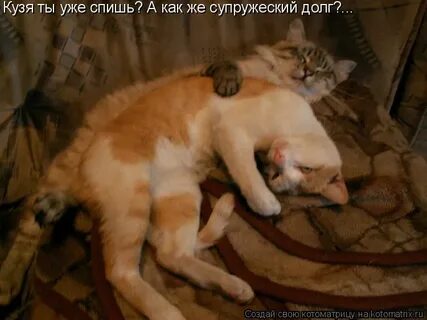 Спящий уж
