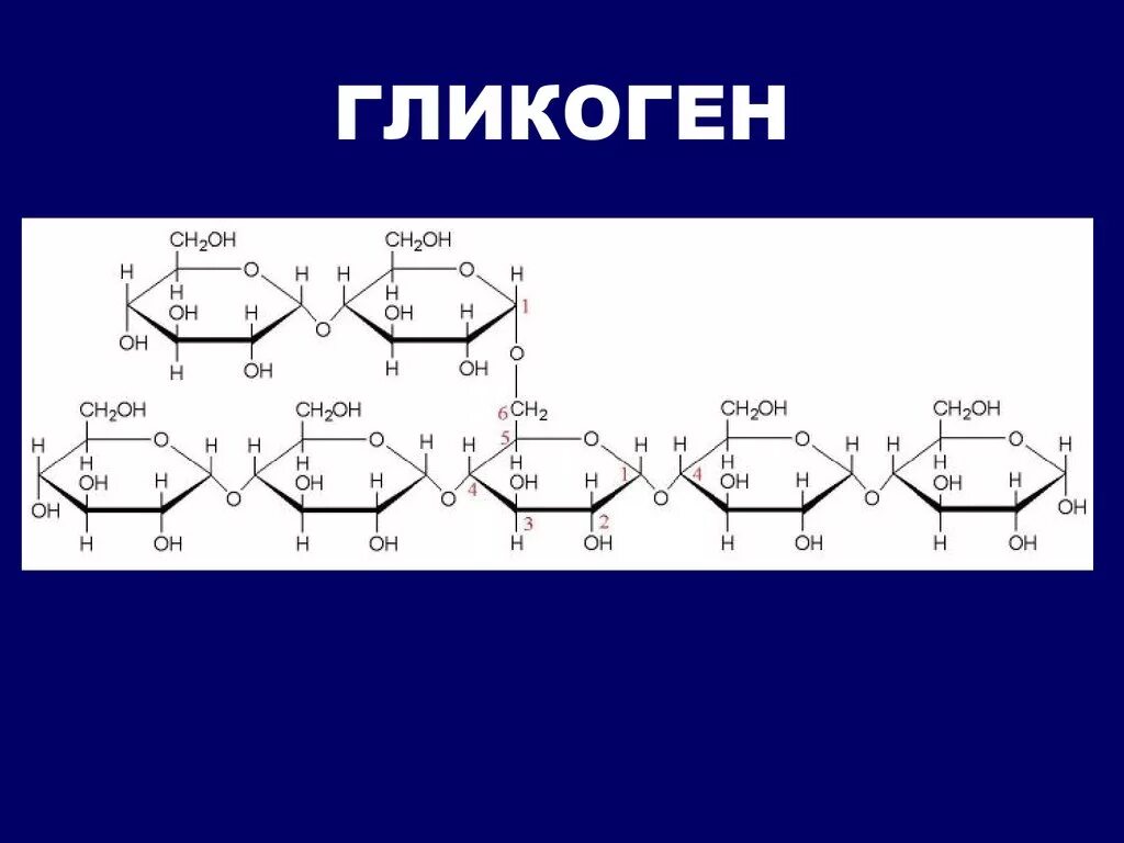 Молекула гликогена формула. Гликоген строение молекулы. Гликоген формула и структура. Гликоген молекулярная формула. Глюкоген