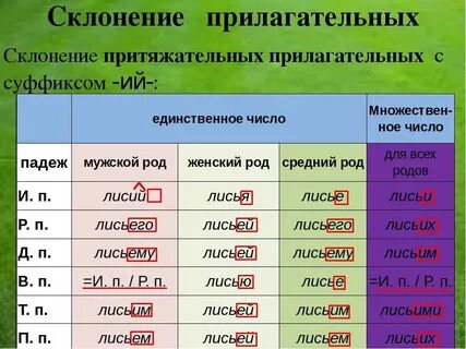 Как определить род число и падеж