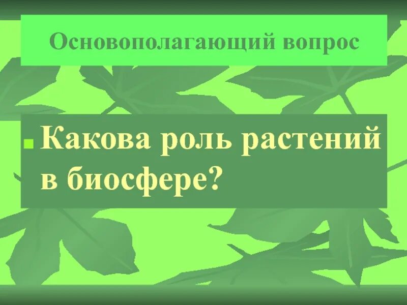 Ведущая роль растений в природном сообществе заключается. Роль растений в биосфере. Роль растений в биосфере и жизни человека. Роль высших растений в биосфере. Значение растений в биосфере.