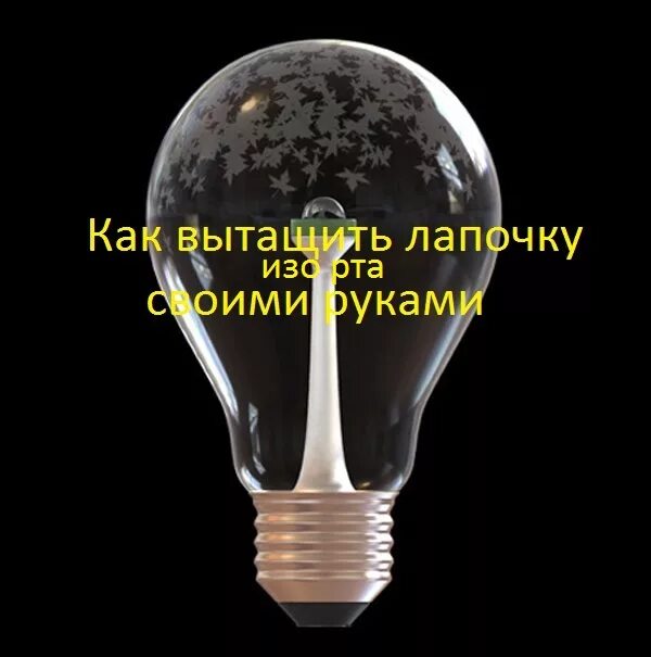 Как вытащить лампочку изо. Вытащить лампочку изо рта. достать лампочку изо рта. почему лампочку нельзя вытащить.