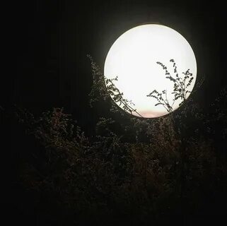 Где круглая ночь