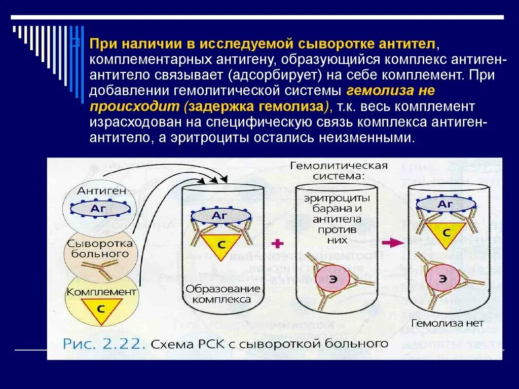 Комплемент сыворотка. Реакция связывания комплемента РСК микробиология. Гемолитическая сыворотка для РСК. Реакция связывания комплемента иммунология. Постановка реакции связывания комплемента.