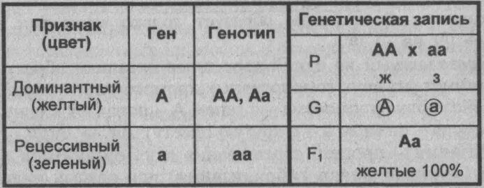 Таблица доминантных и рецессивных признаков. Доминантный признак и рецессивный признак таблица. Доминантные и рецессивные признаки. Доминантные и рецессивные гены.