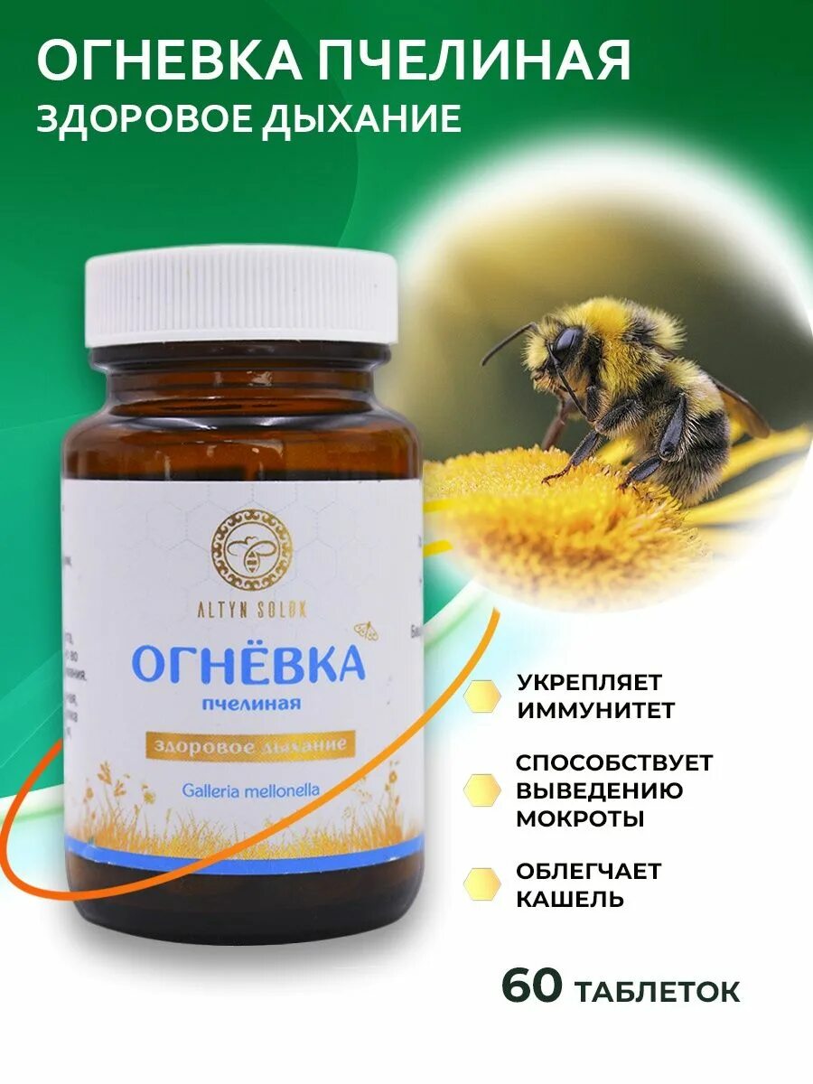 Как принимать огневку пчелиную