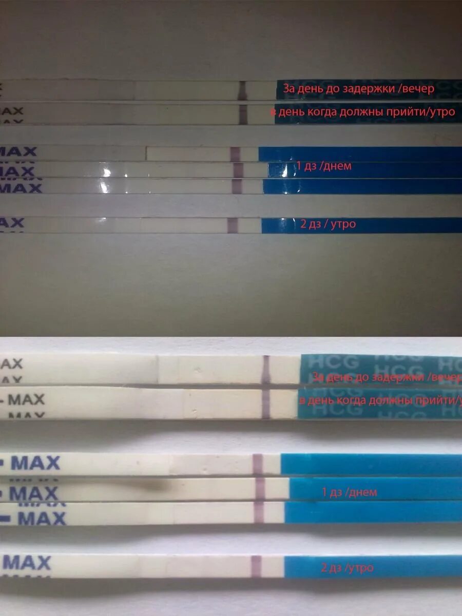 Нормальный период задержки месячных. Тест на шестой день задержки. У девушки задержка неделя. Задержка месячных тест. Тест на 5 день задержки.